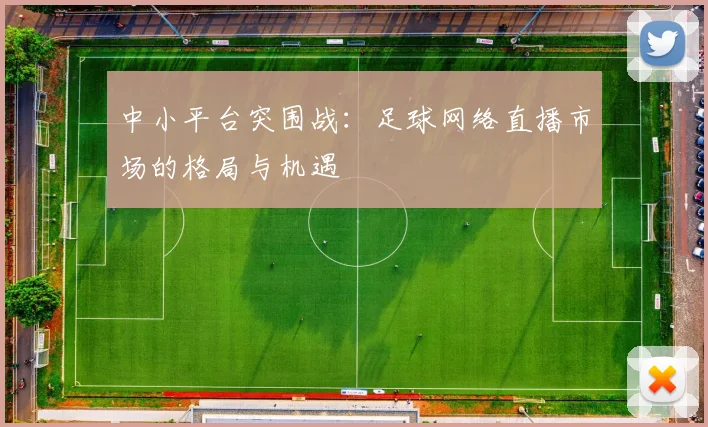 中小平台突围战：足球网络直播市场的格局与机遇