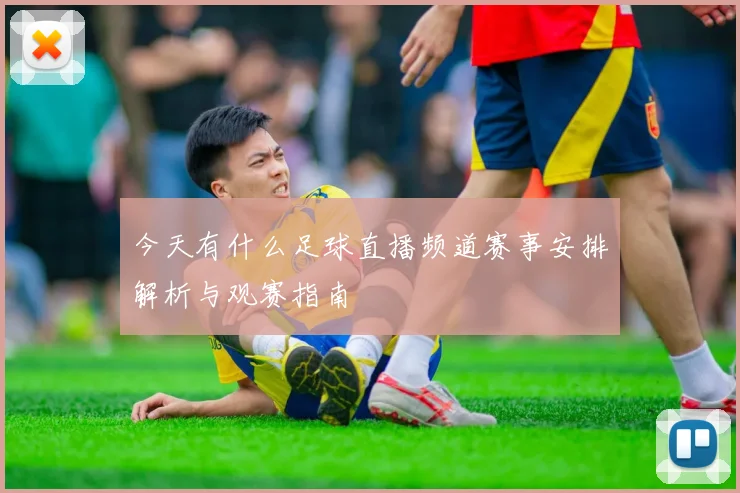 今天有什么足球直播频道赛事安排解析与观赛指南